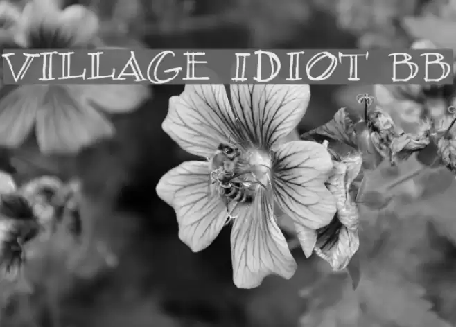 Village Idiot BB Font examples