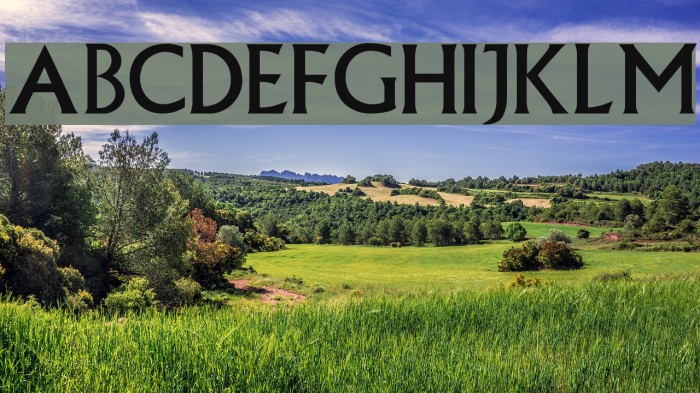 Village Plain Font examples