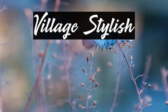 Village Stylish Example 1