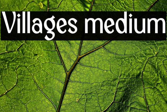 Villages medium Example 1