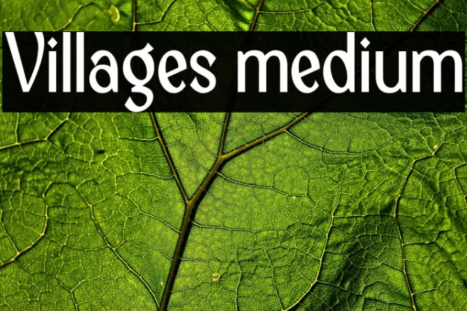 Villages medium Example 1