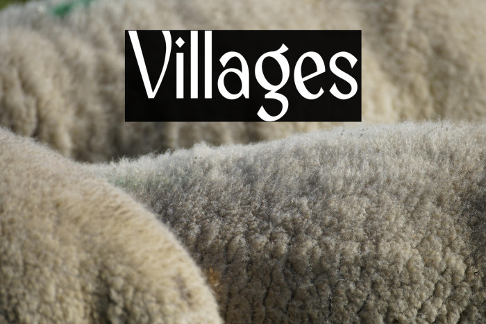 Villages Example 3