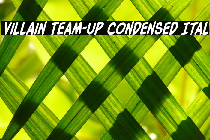 Villain Team-Up Condensed Ital Font examples