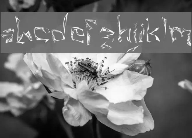 Villain Font examples