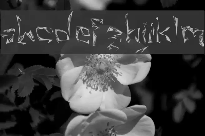 Villain Font examples