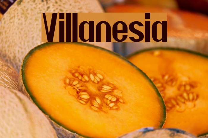 Villanesia Example 1