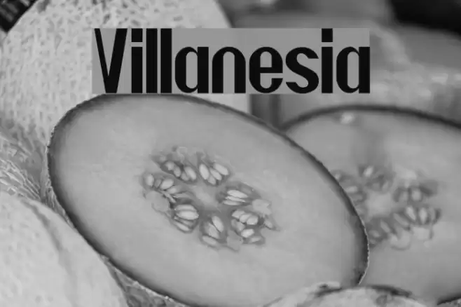 Villanesia Font examples