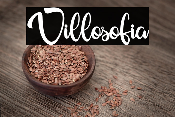 Villosofia Example 2