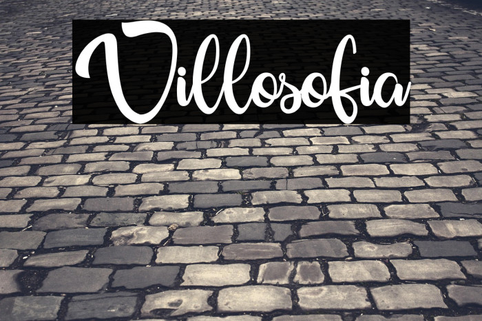 Villosofia Example 3