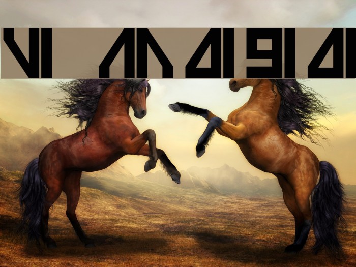 Vilmos Magyar Font examples