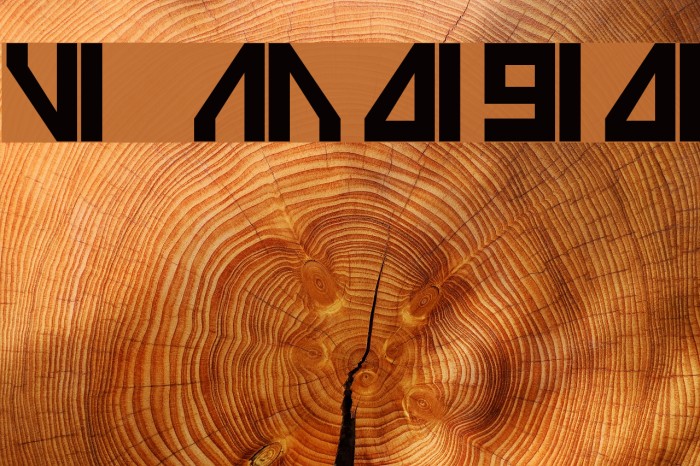 Vilmos Magyar Font examples