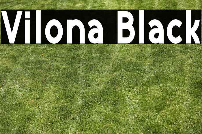 Vilona Black Example 1