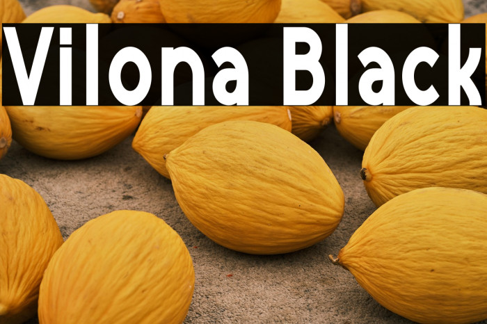 Vilona Black Example 2