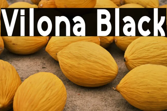 Vilona Black Example 2