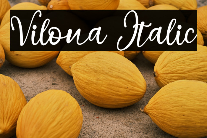 Vilona Italic Example 2