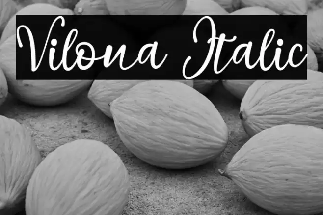 Vilona Italic Font examples