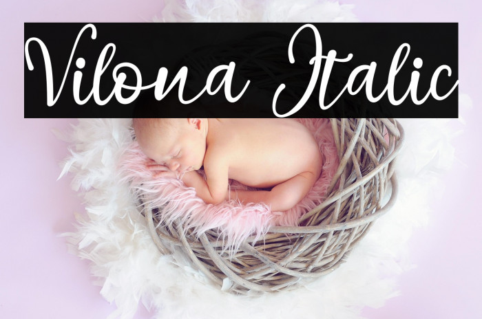 Vilona Italic Example 3