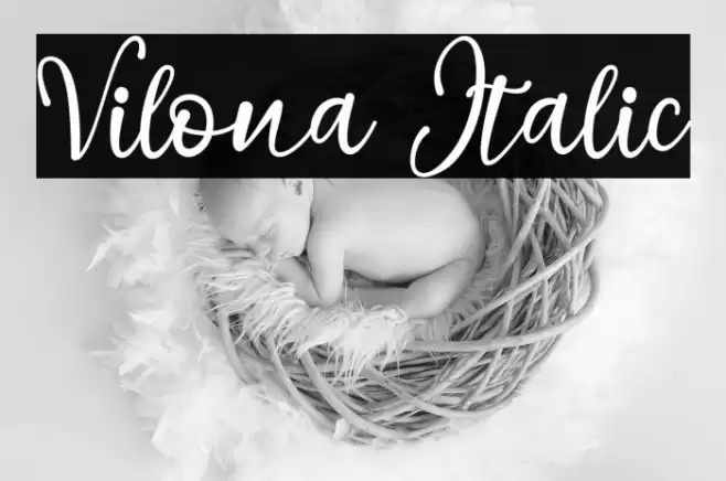 Vilona Italic Font examples