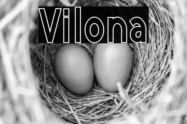 Vilona Font examples