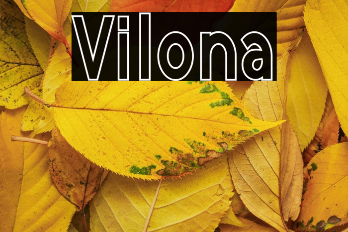 Vilona Example 3