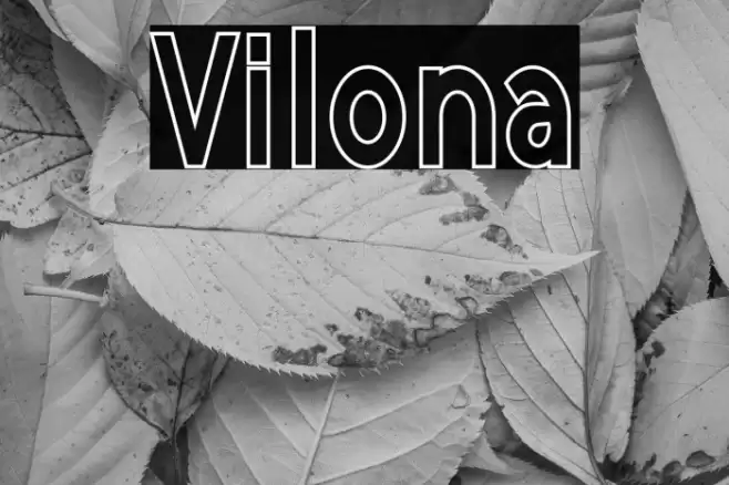 Vilona Font examples