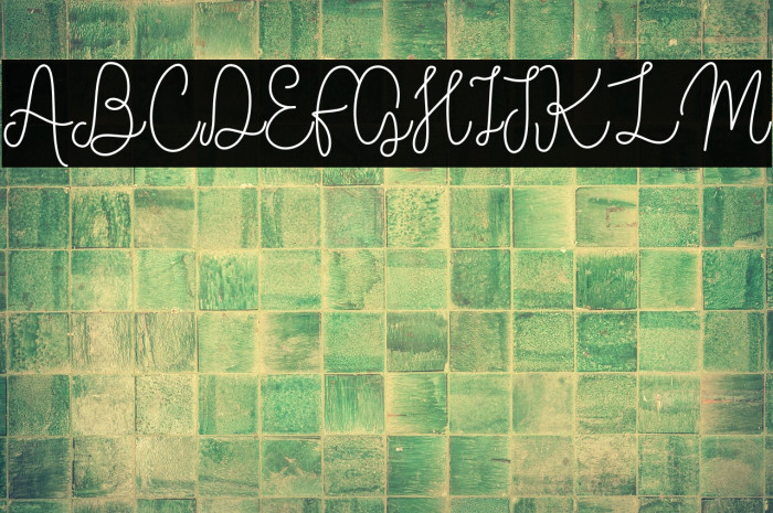 Vilova 2.0 Example 2