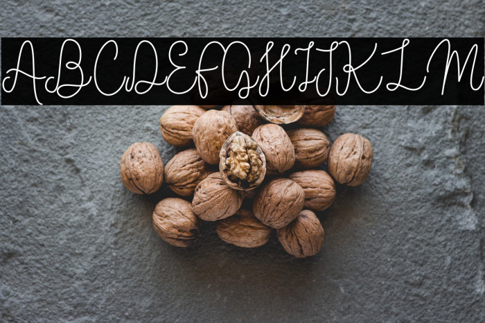 Vilova 2.0 Example 3