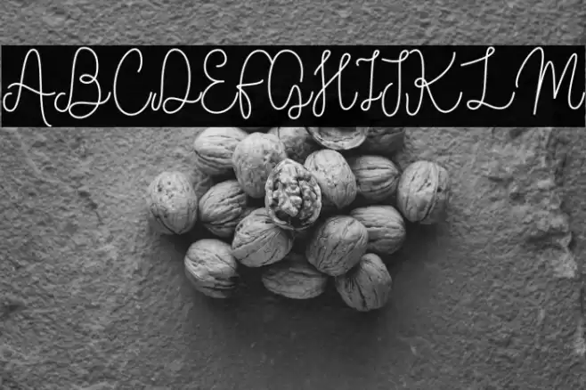 Vilova 2.0 Font examples