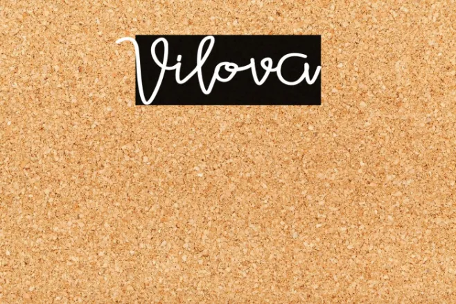 Vilova Example 3