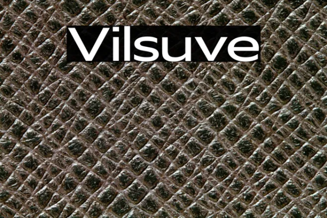 Vilsuve Example 1