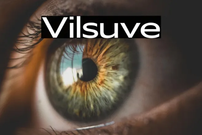 Vilsuve Example 2