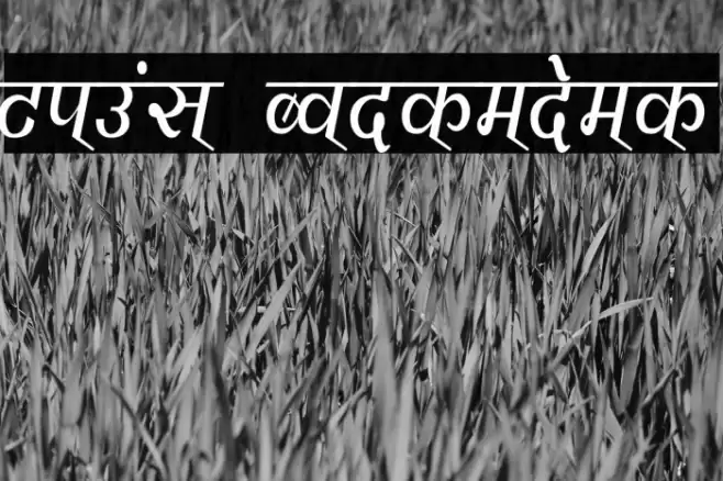 Vimal Condensed Font examples