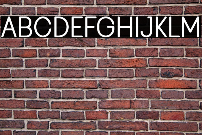 Viminalis-Bold Example 2