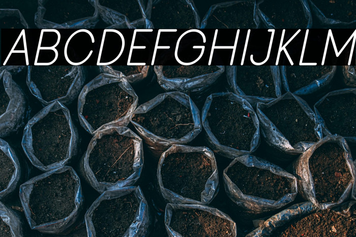 Viminalis-Italic Example 3