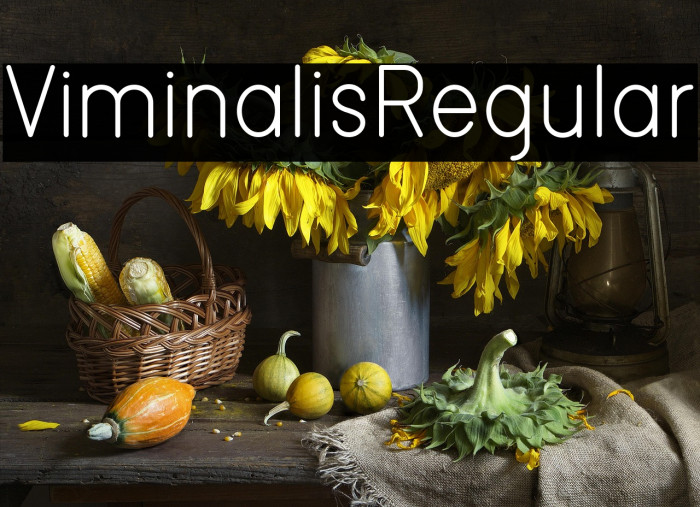 ViminalisRegular Example 1
