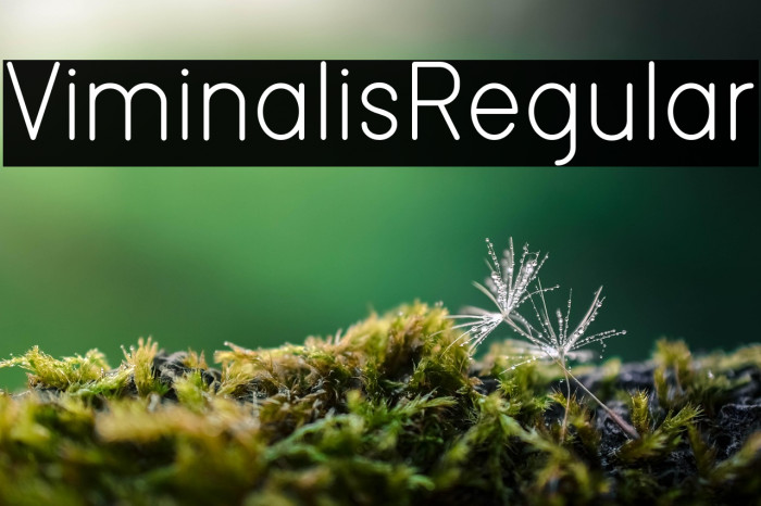 ViminalisRegular Example 2