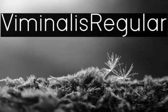 ViminalisRegular Font examples