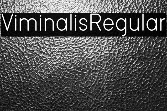 ViminalisRegular Example 3