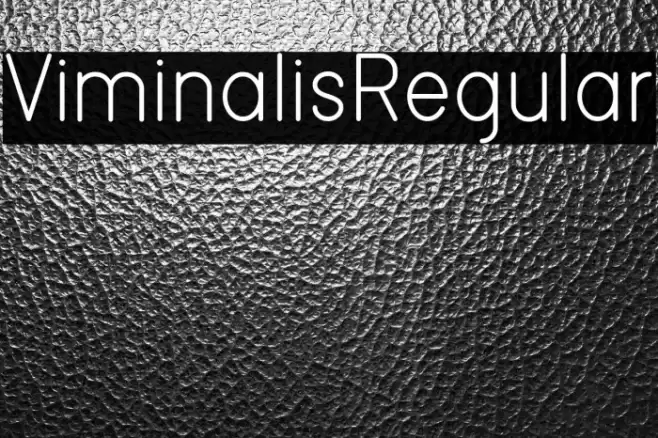 ViminalisRegular Font examples