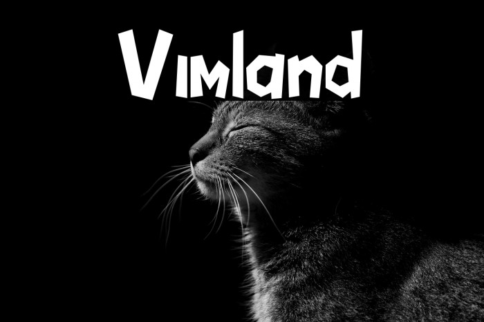 Vimland Example 1