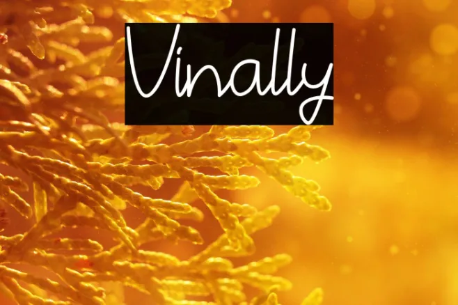 Vinally Example 2