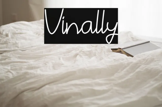 Vinally Example 3