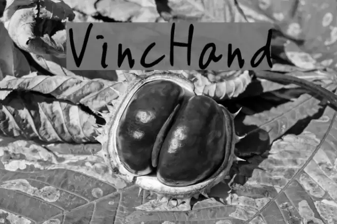 VincHand Font examples