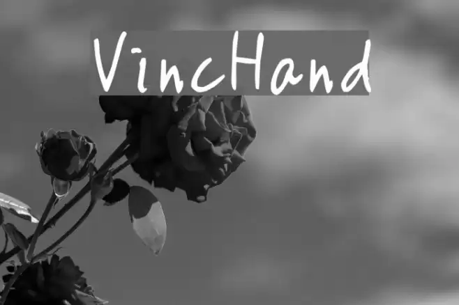 VincHand Font examples
