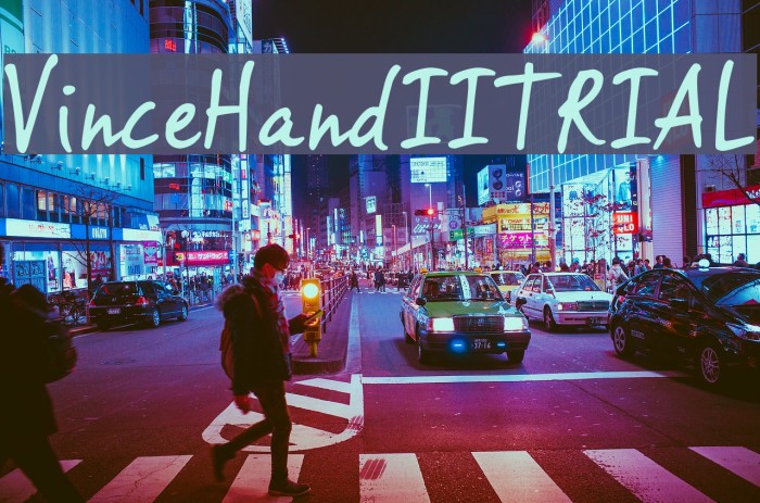 VinceHandIITRIAL Example 2