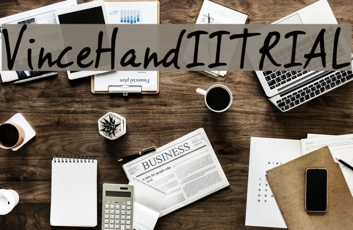 VinceHandIITRIAL Example 3