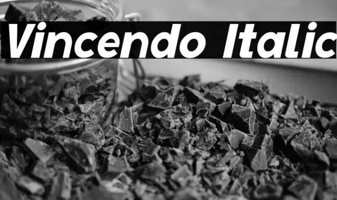 Vincendo Italic Font examples