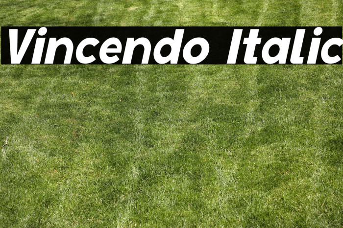Vincendo Italic Example 2