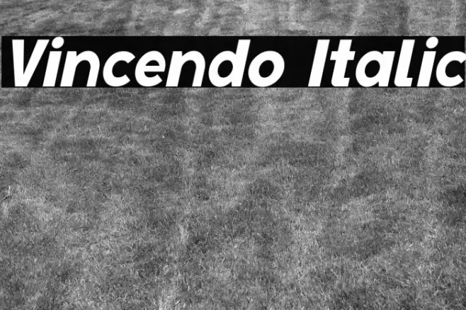 Vincendo Italic Font examples