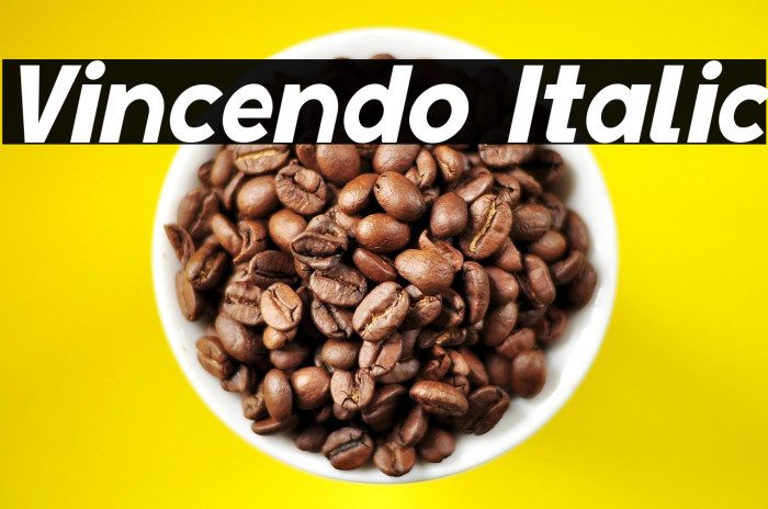 Vincendo Italic Example 3